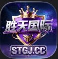胜天国际