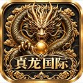 真龙国际
